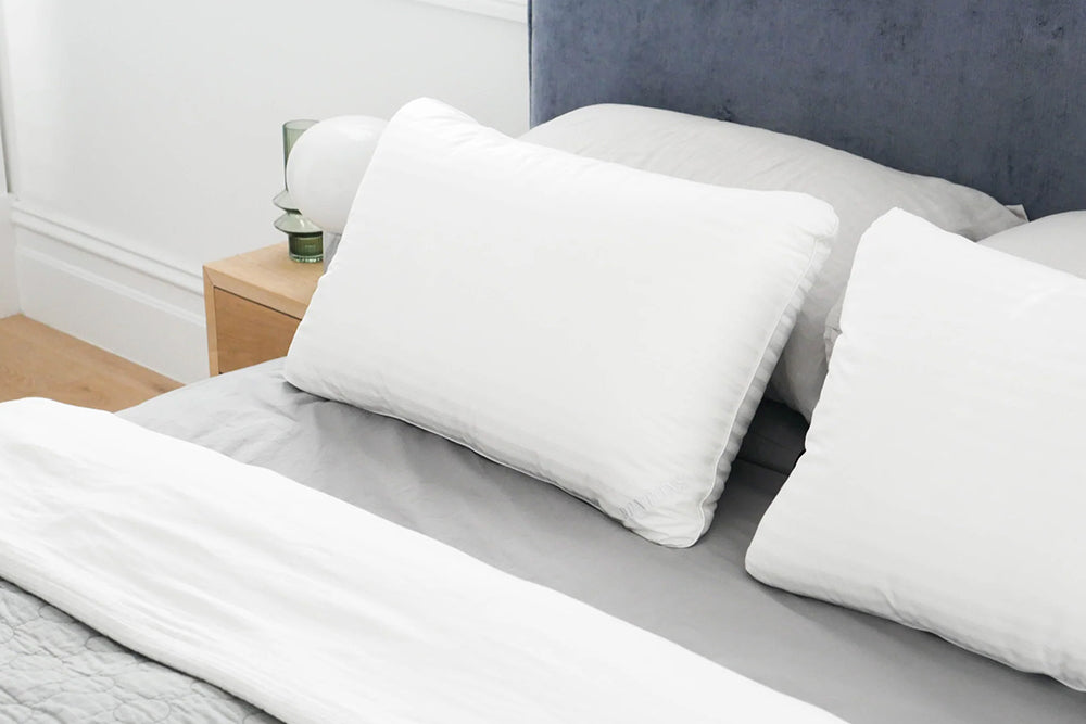 Dentons Pillows