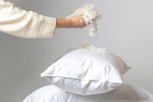 Feather & Down Pillows