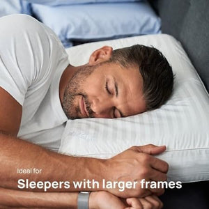 Dentons High Profile Contoured Pillow