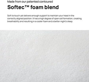 Dentons Posture Plus Pillow