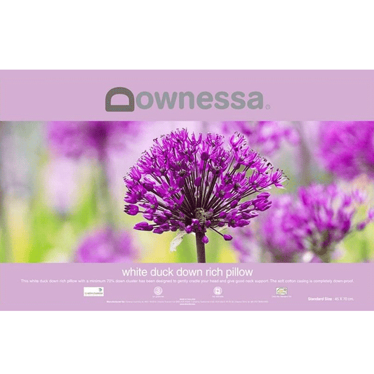 Downessa pillows 2025